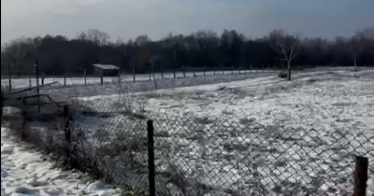 Teren Construcții intravilan de 19209 mp, în Crasna