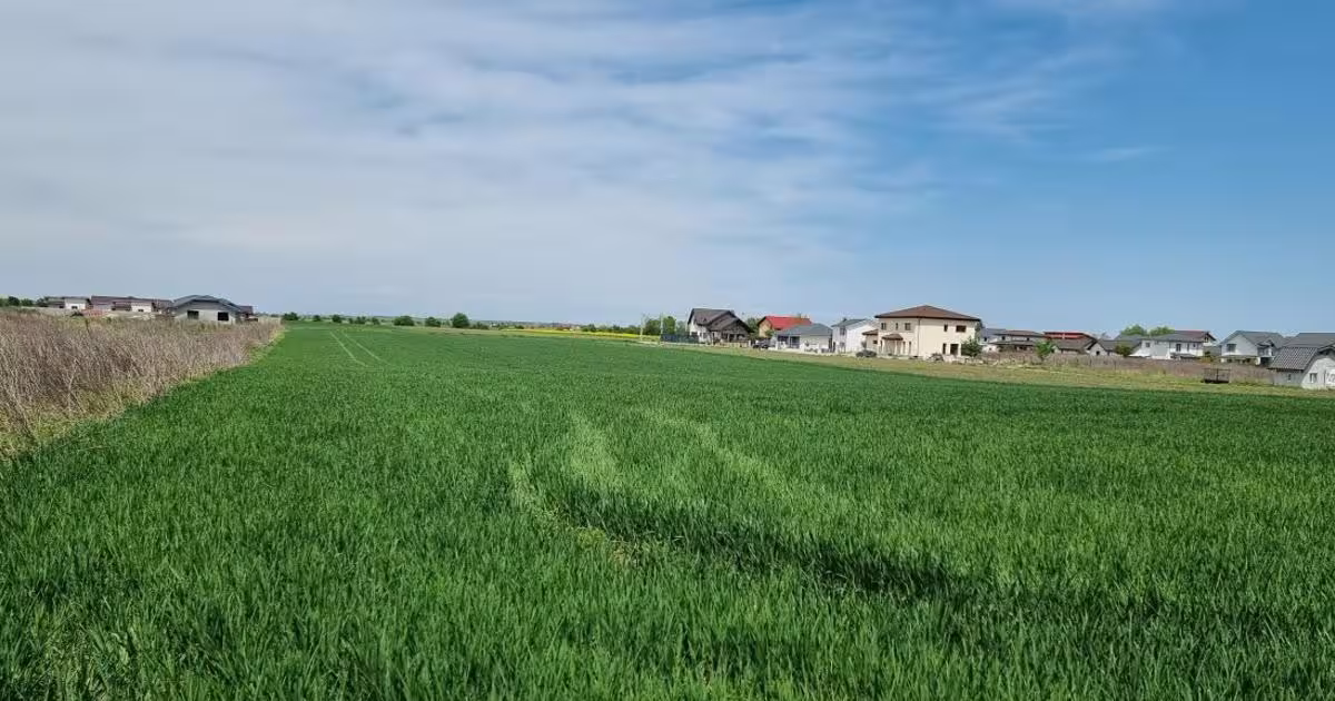 Teren Construcții intravilan de 627 mp, în Crevedia