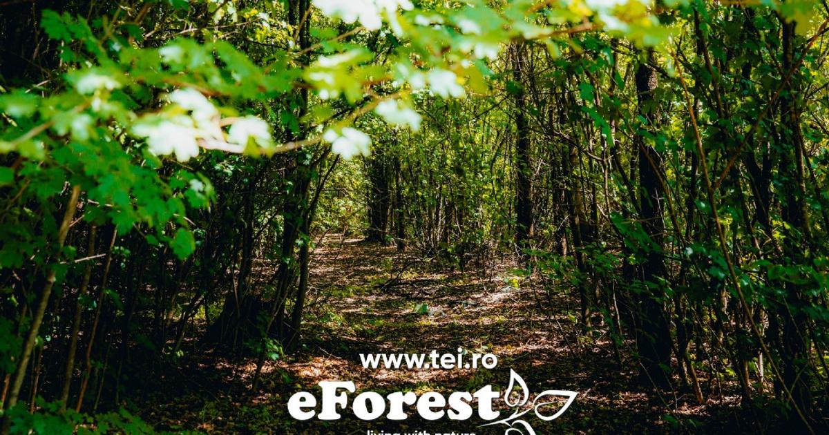 Teren Construcții intravilan de 720 mp, în Crevedia