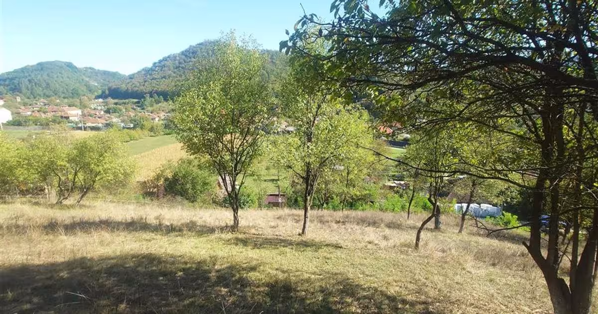 Teren Construcții extravilan de 14075 mp, în Crișcior