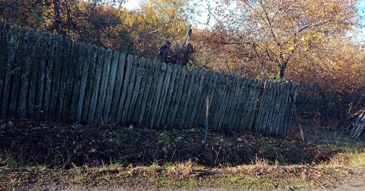 Teren Construcții intravilan de 5296 mp, în Cuca