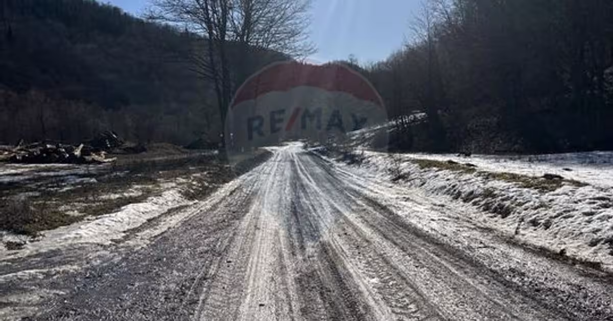 Teren Construcții intravilan de 1340 mp, în Cuejdiu