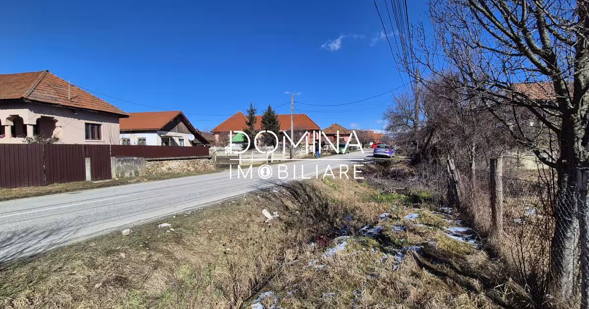 Teren Construcții de 6504 mp, în Curtișoara