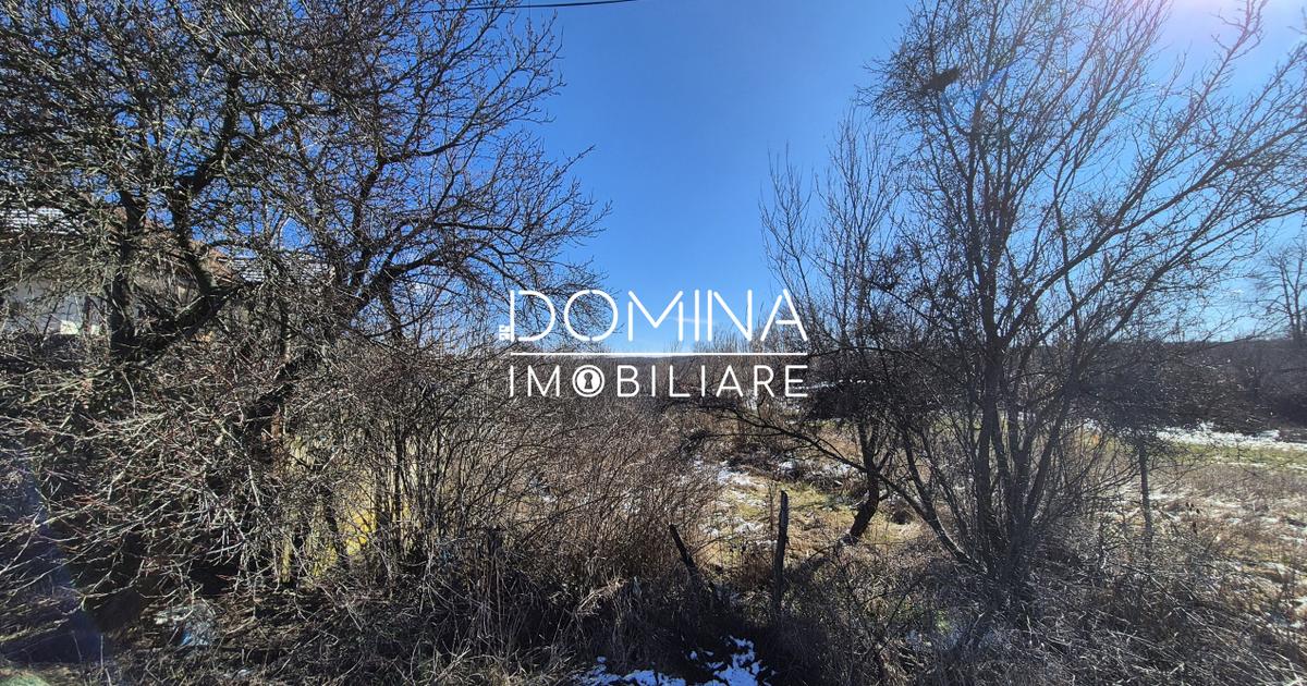 Teren Construcții de 6504 mp, în Curtișoara