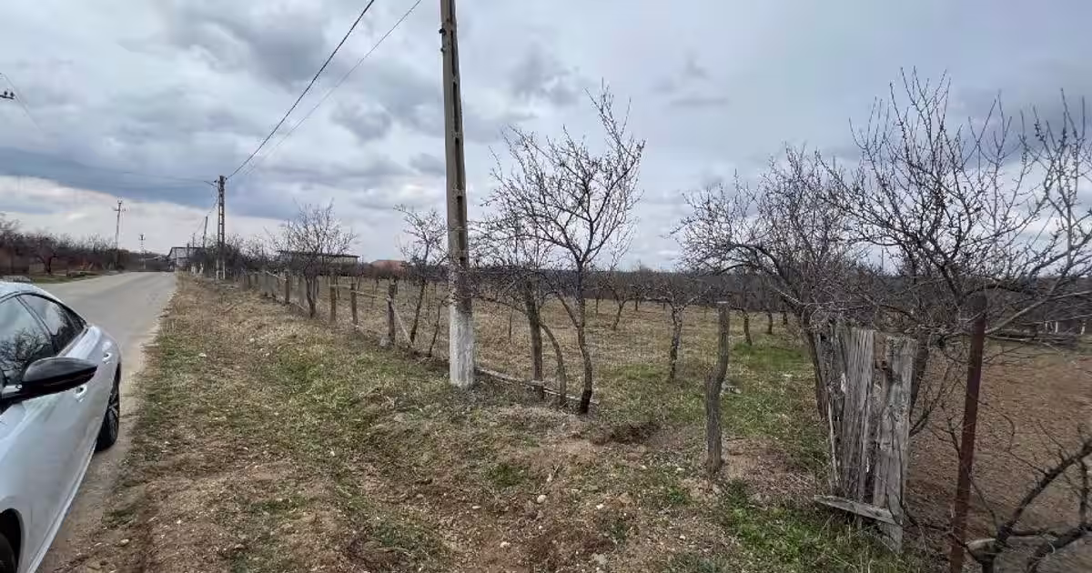 Teren Construcții intravilan de 8000 mp, în Dănicei