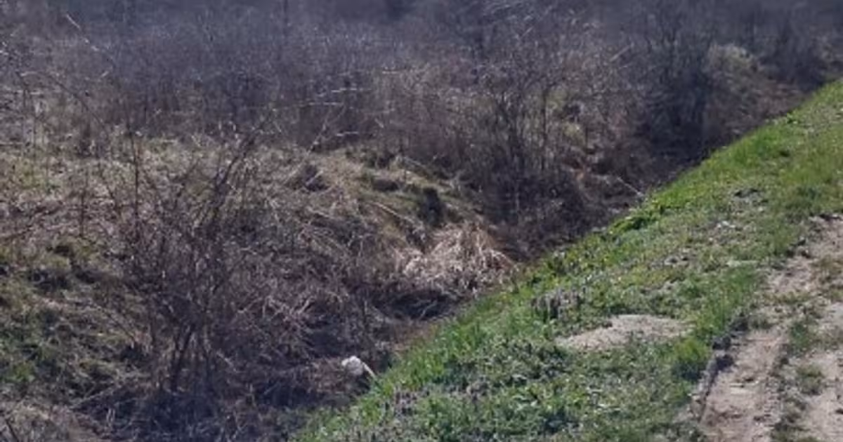 Teren Construcții intravilan de 8300 mp, în Dara