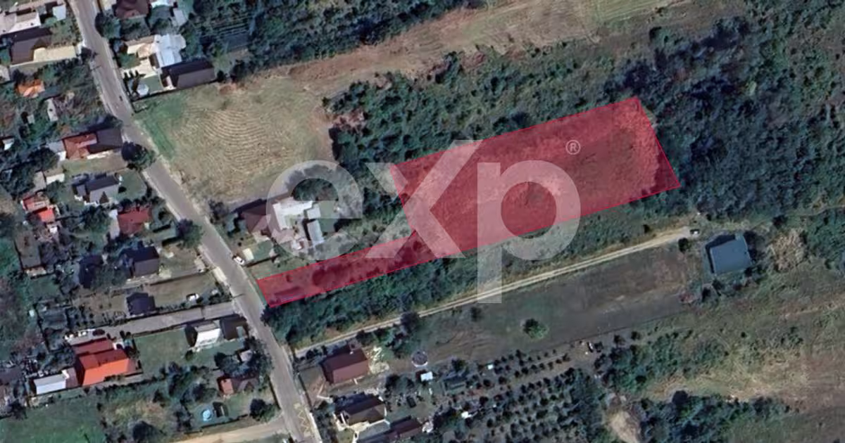 Teren Construcții intravilan de 5000 mp, în Dealu Viilor (Moșoaia)