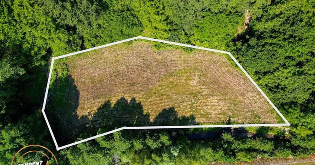 Teren Construcții extravilan de 2737 mp, în Dobârlău