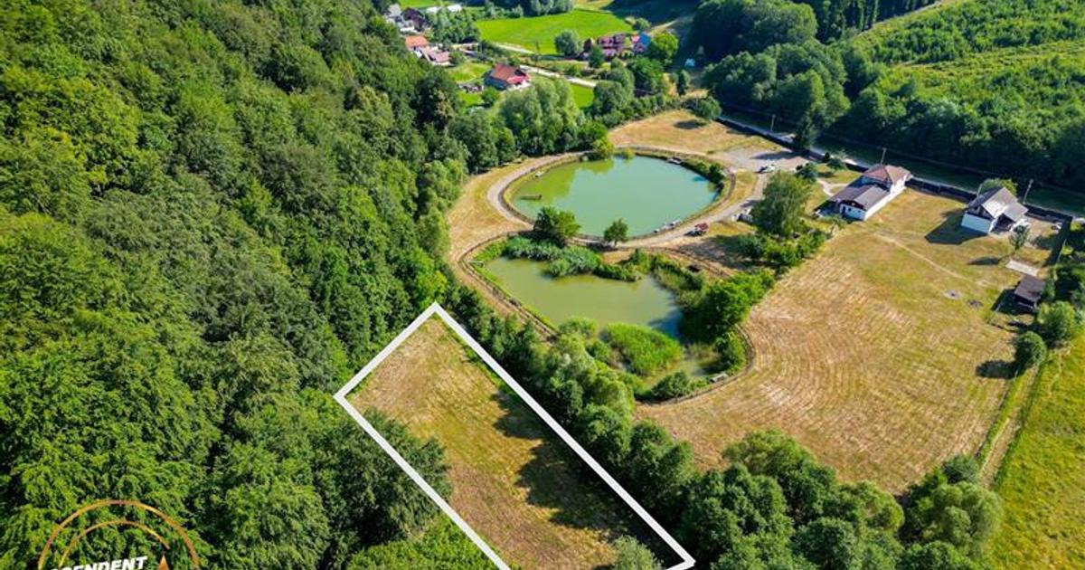 Teren Construcții extravilan de 2737 mp, în Dobârlău