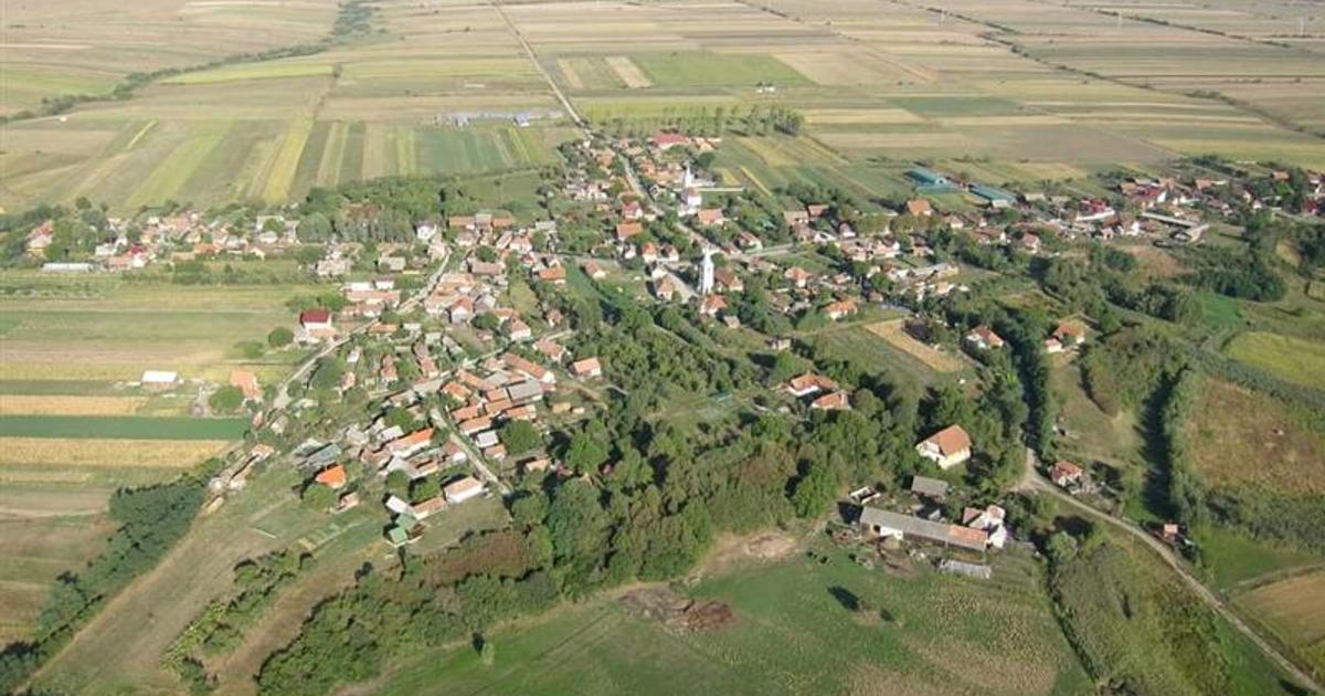 Teren Construcții intravilan de 6245 mp, în Dobolii de Jos