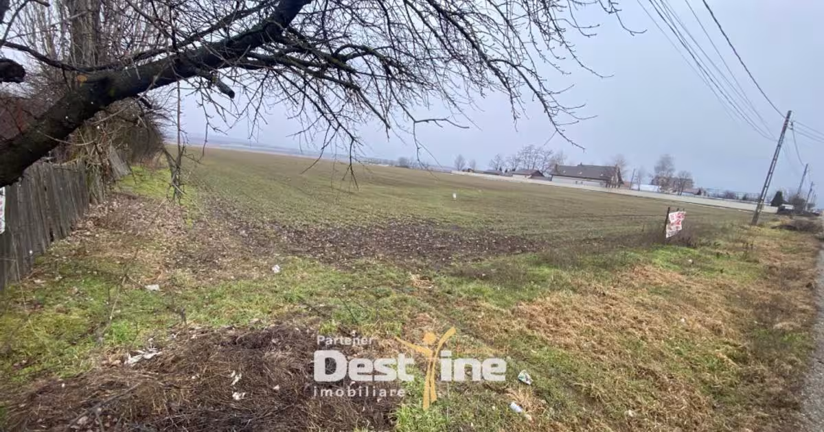 Teren Construcții intravilan de 7200 mp, în Doina