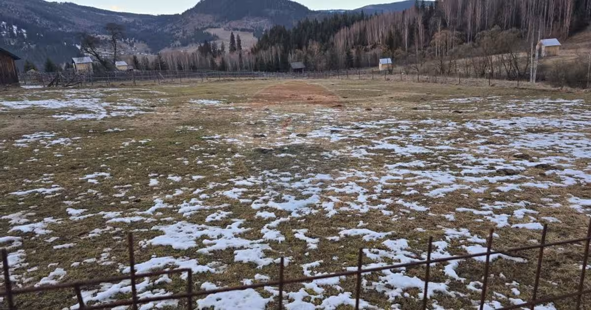 Teren Construcții intravilan de 2000 mp, în Dorna-Arini