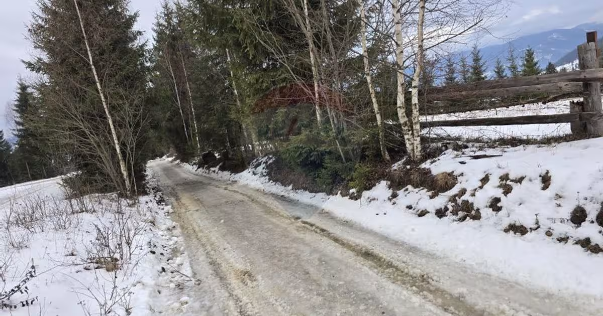 Teren Construcții intravilan de 3868 mp, în Dorna-Arini