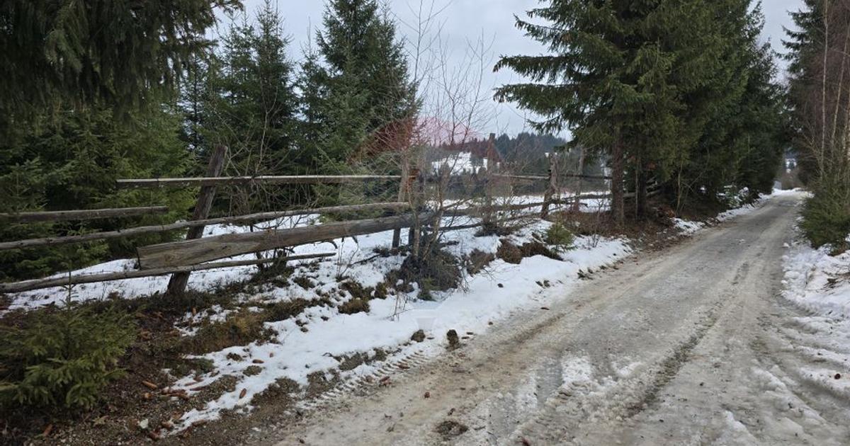 Teren Construcții intravilan de 3868 mp, în Dorna-Arini