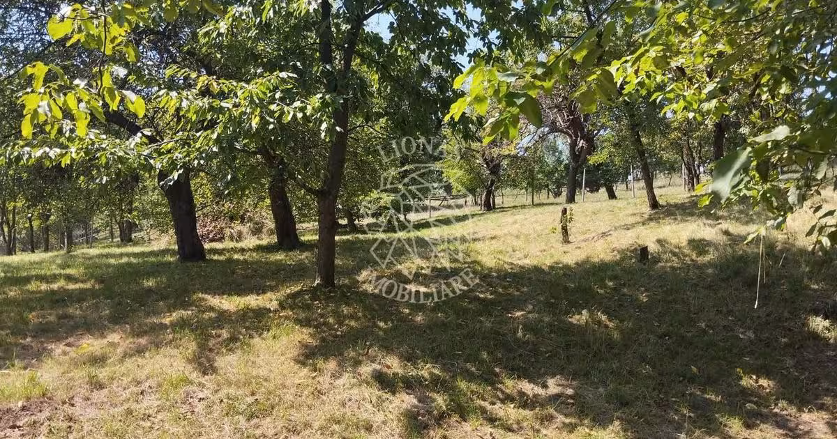 Teren Construcții intravilan de 2828 mp, în Dorolea