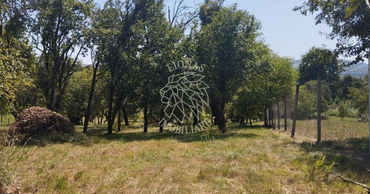 Teren Construcții intravilan de 2828 mp, în Dorolea