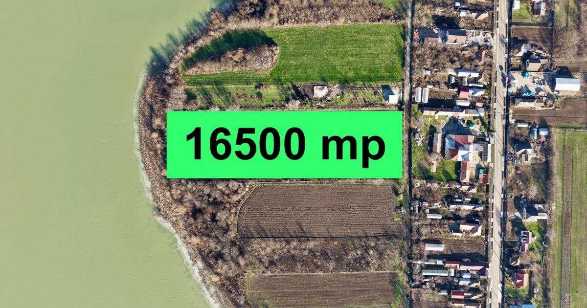 Teren Construcții intravilan de 16500 mp, în Dridu