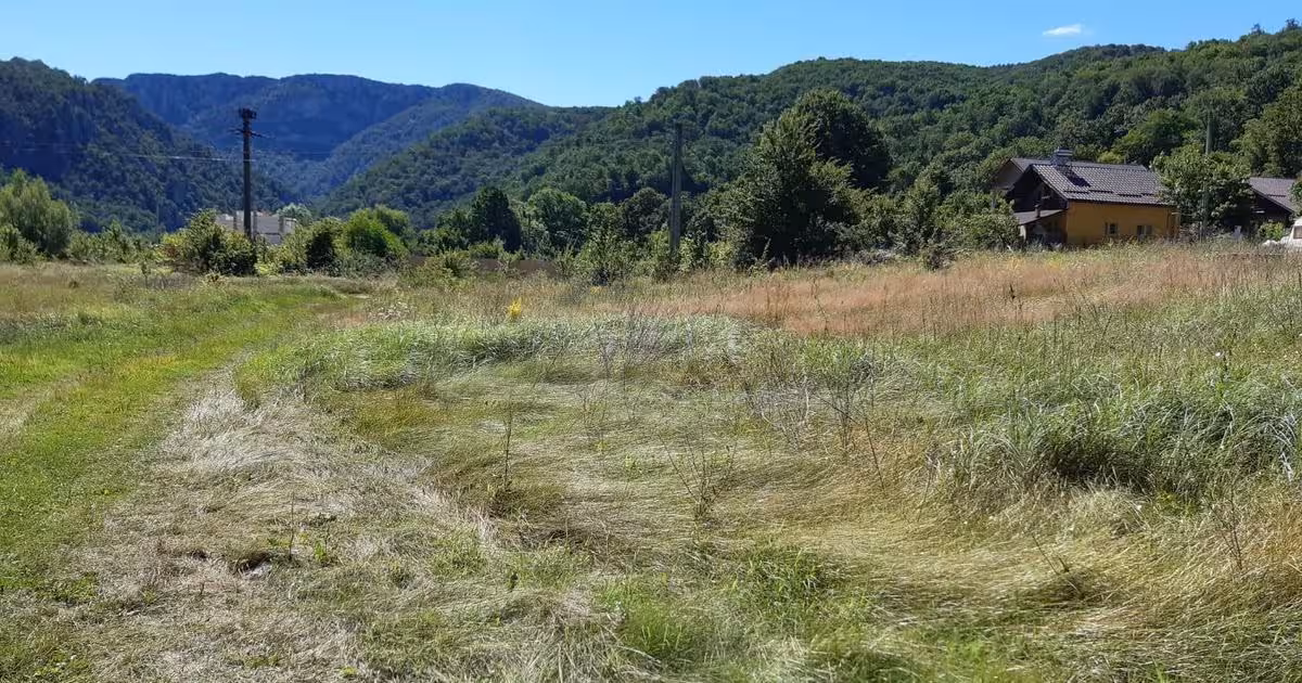 Teren Construcții intravilan de 3597 mp, în Eșelnița