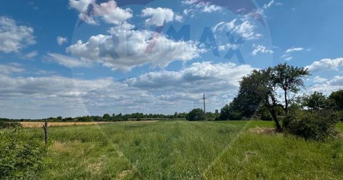 Teren Construcții intravilan de 4000 mp, în Fierbinți-Târg