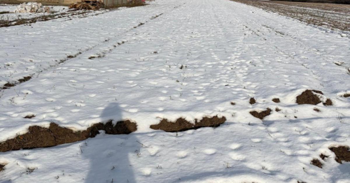 Teren Construcții extravilan de 2250 mp, în zona Central, Filiași