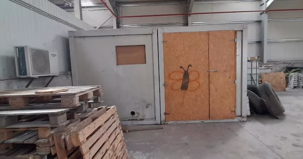 Teren Construcții intravilan de 30000 mp, în Filipești