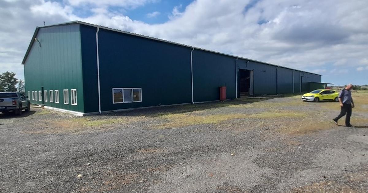 Teren Construcții intravilan de 30000 mp, în Filipești