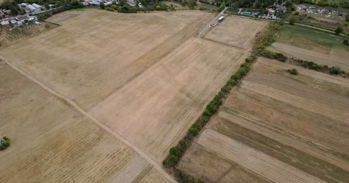 Teren Construcții intravilan de 30110 mp, în Filipeștii de Târg
