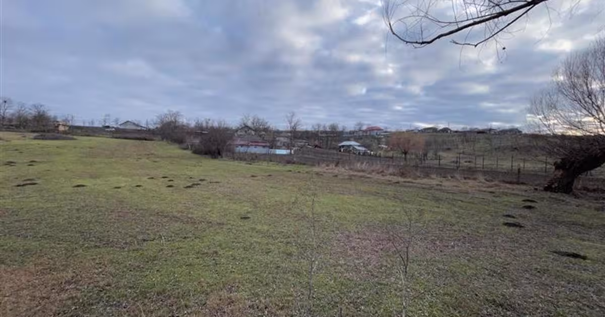 Teren Construcții intravilan de 4931 mp, în Frecăței