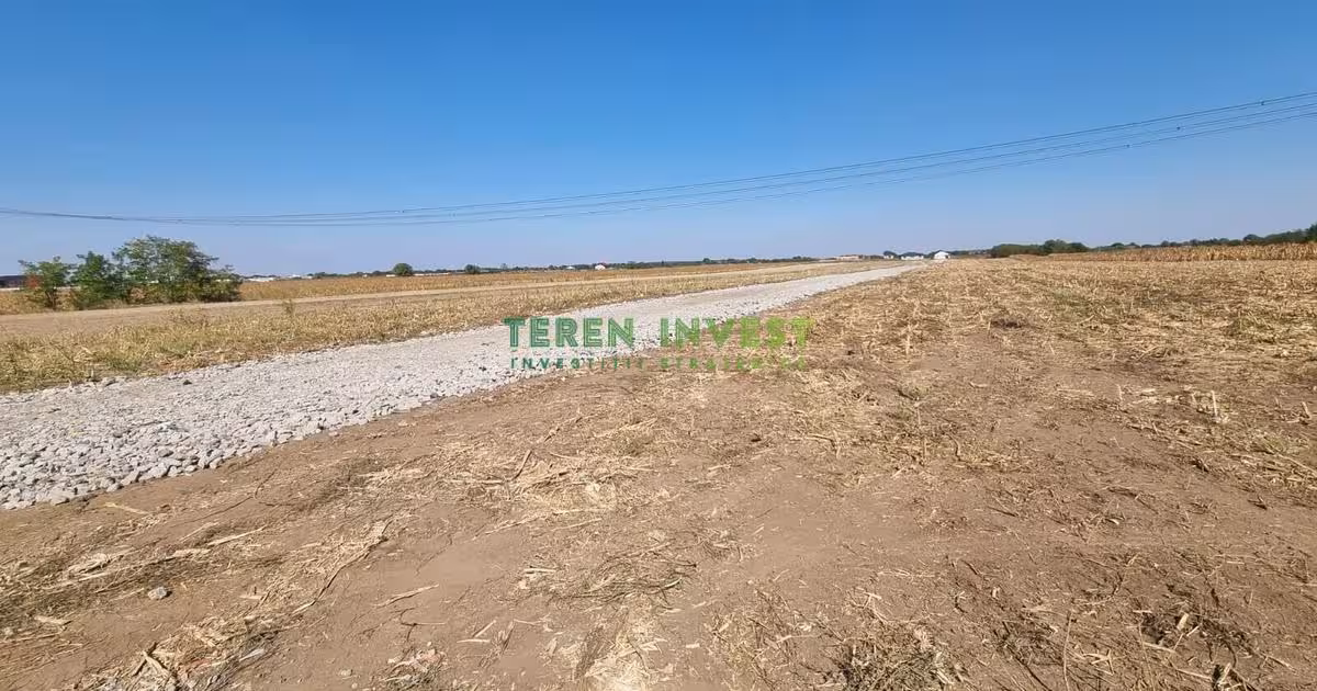 Teren Construcții intravilan de 10800 mp, în Frumușani