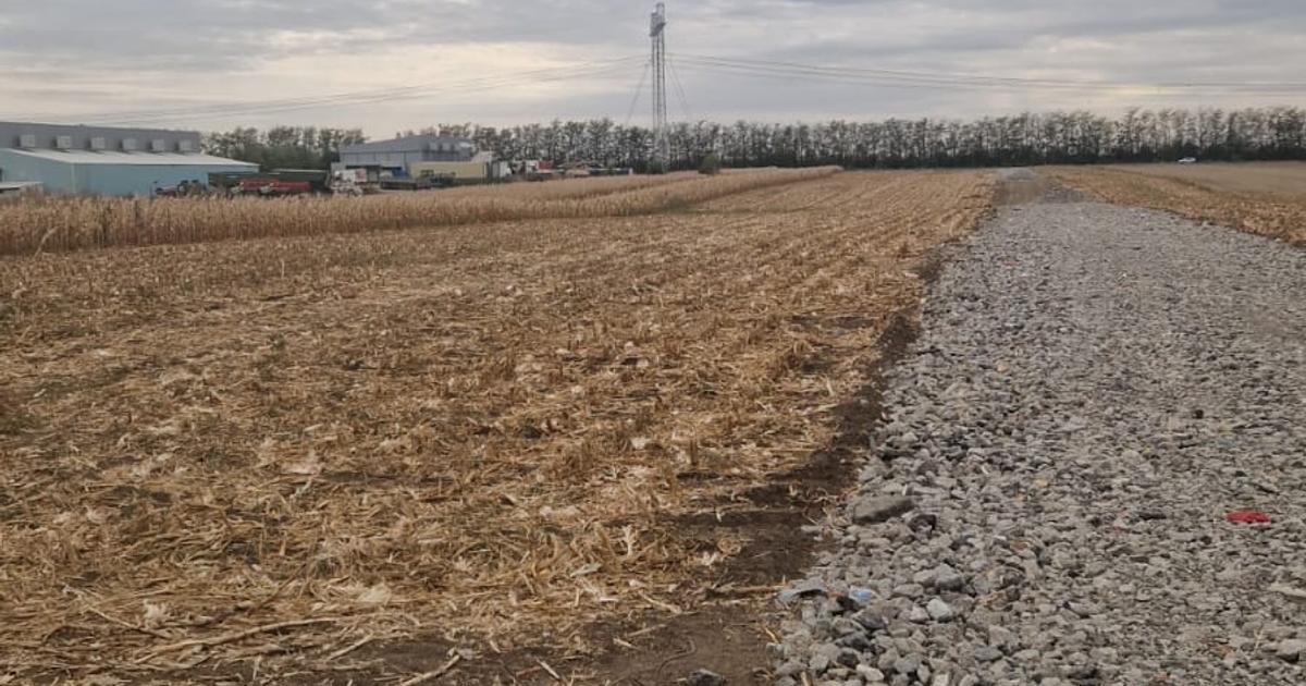 Teren Construcții intravilan de 11000 mp, în Frumușani