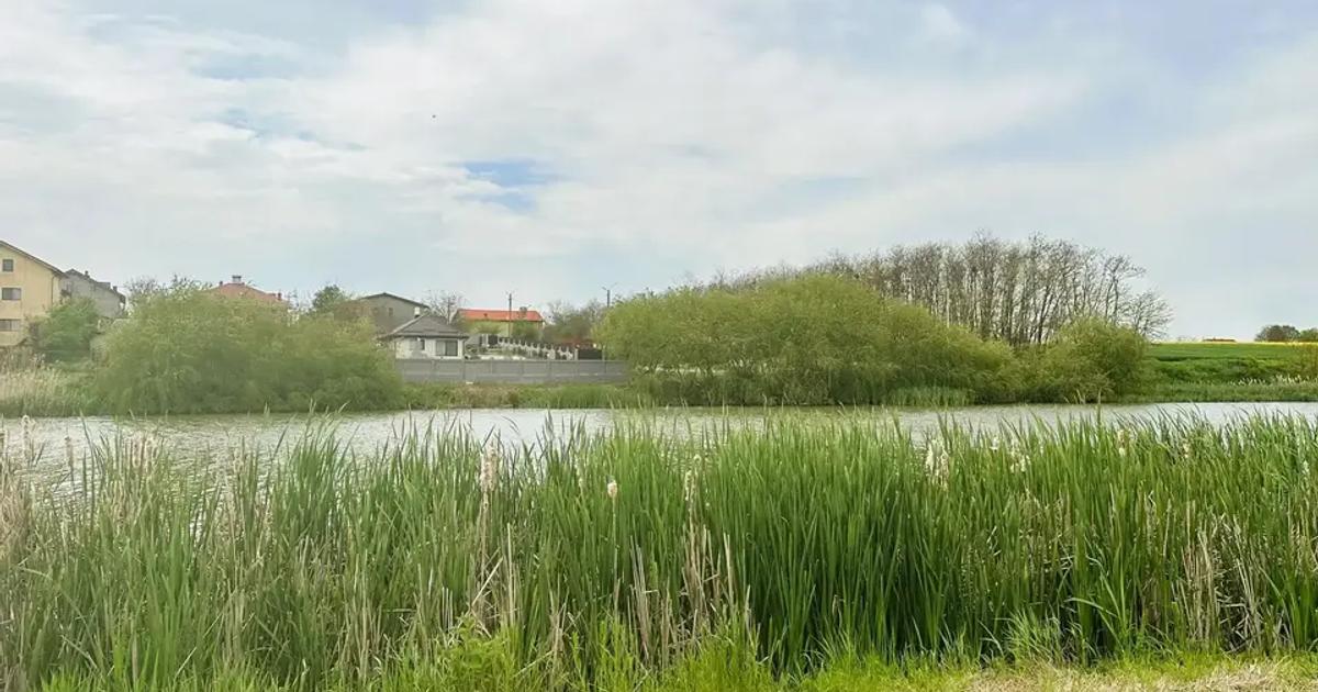 Teren Construcții extravilan de 1320 mp, în Frumușani