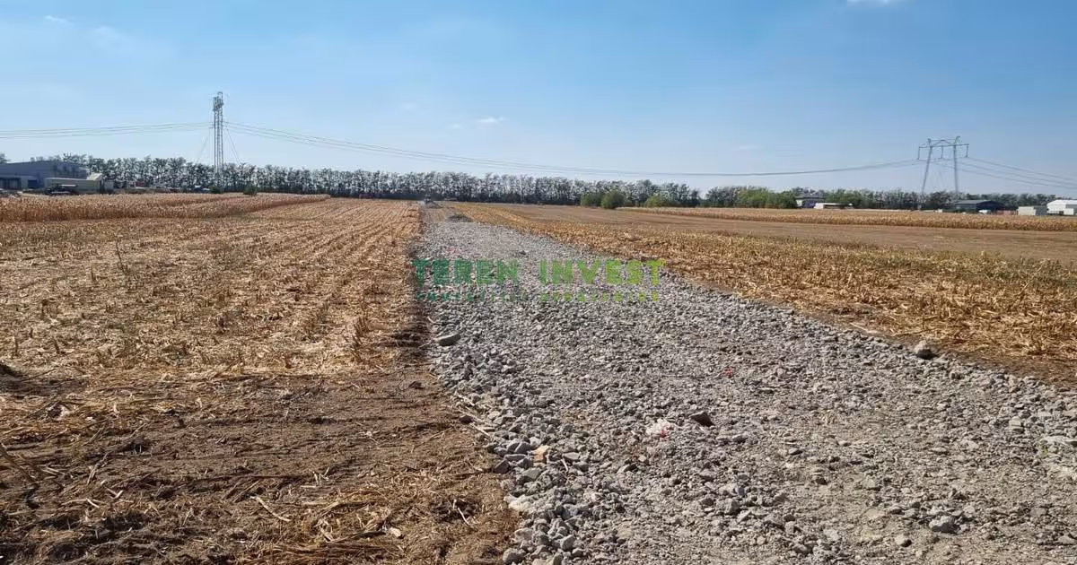 Teren Construcții intravilan de 2000 mp, în Frumușani