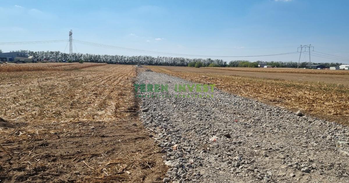 Teren Construcții intravilan de 2000 mp, în Frumușani