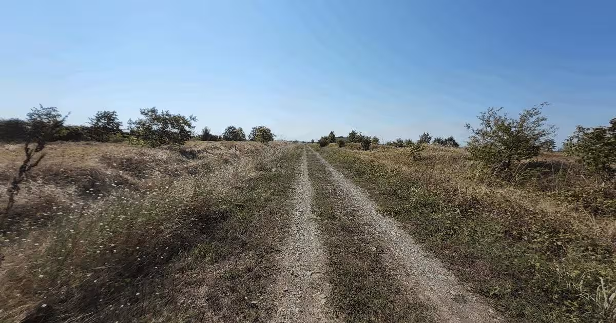 Teren Construcții intravilan de 35000 mp, în Frumușani