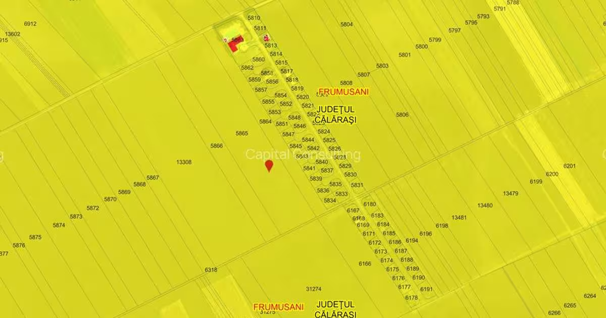 Teren Construcții intravilan de 45602 mp, în Frumușani