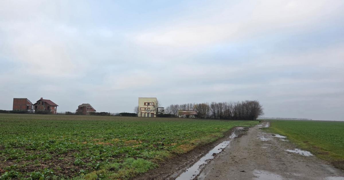 Teren Construcții intravilan de 45602 mp, în Frumușani