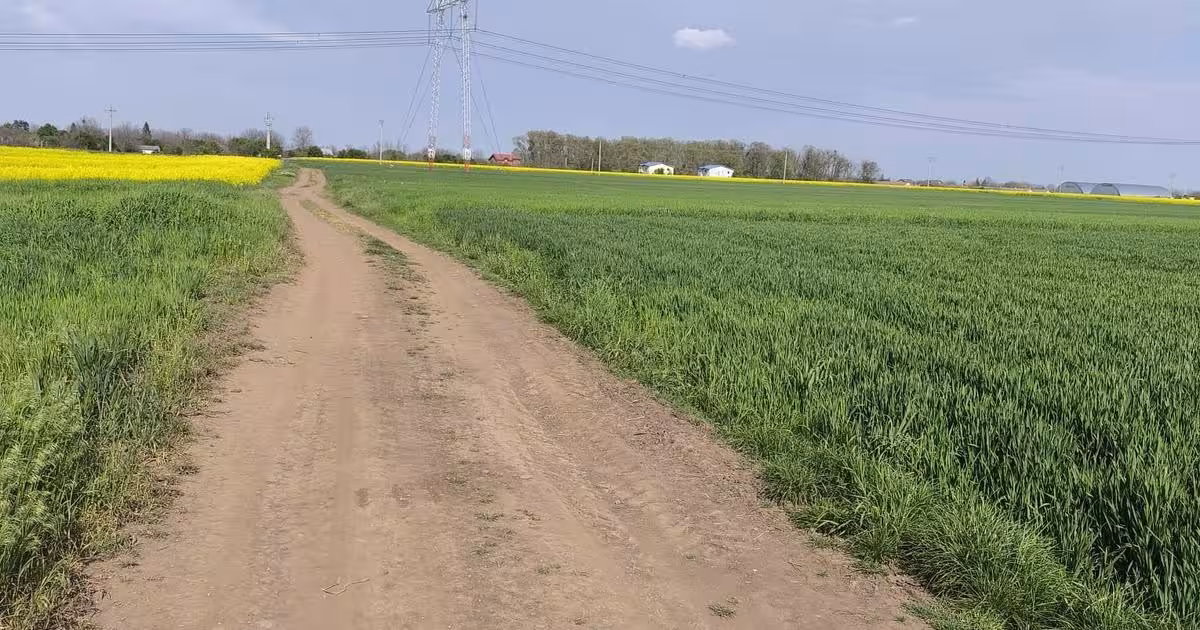 Teren Construcții intravilan de 5000 mp, în Frumușani