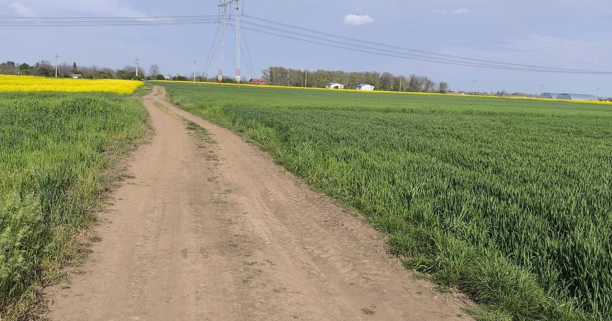 Teren Construcții intravilan de 5000 mp, în Frumușani