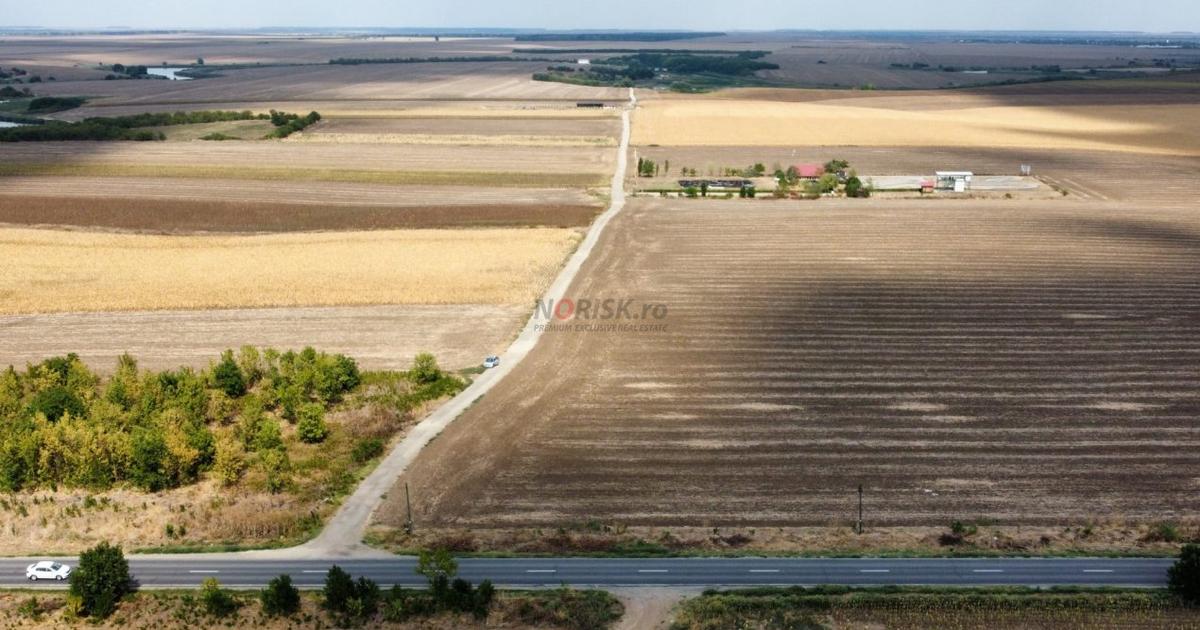 Teren Construcții intravilan de 9000 mp, în Frumușani