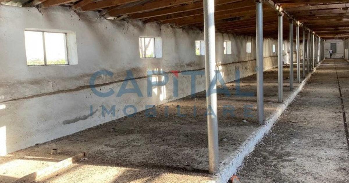 Teren Construcții extravilan de 38245 mp, în zona Periferie, Galați