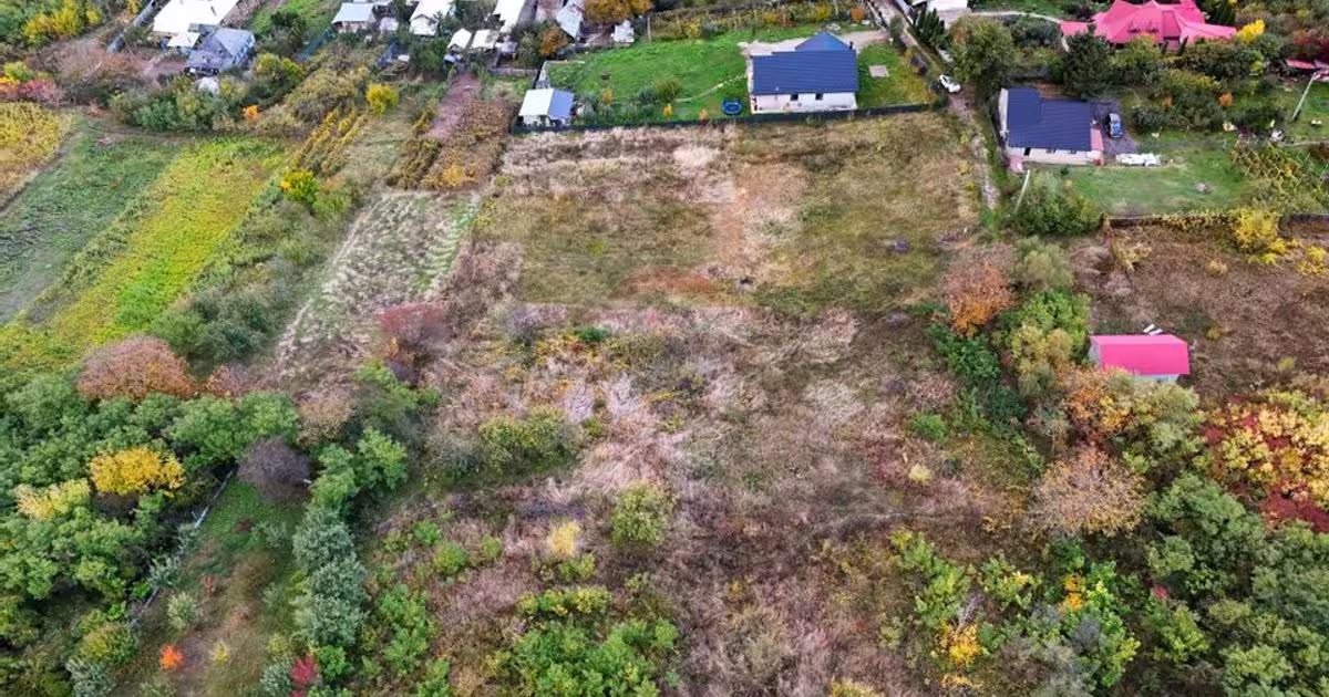 Teren Construcții intravilan de 8000 mp, în Gârlenii de Sus