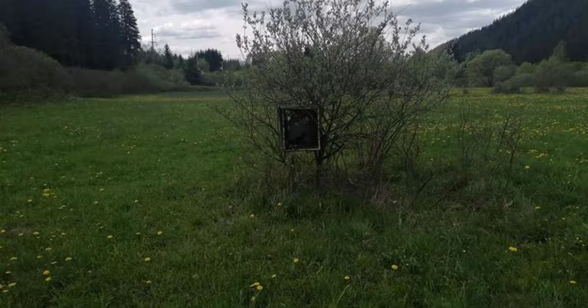 Teren Construcții intravilan de 25100 mp, în zona Exterior Vest, Gheorgheni