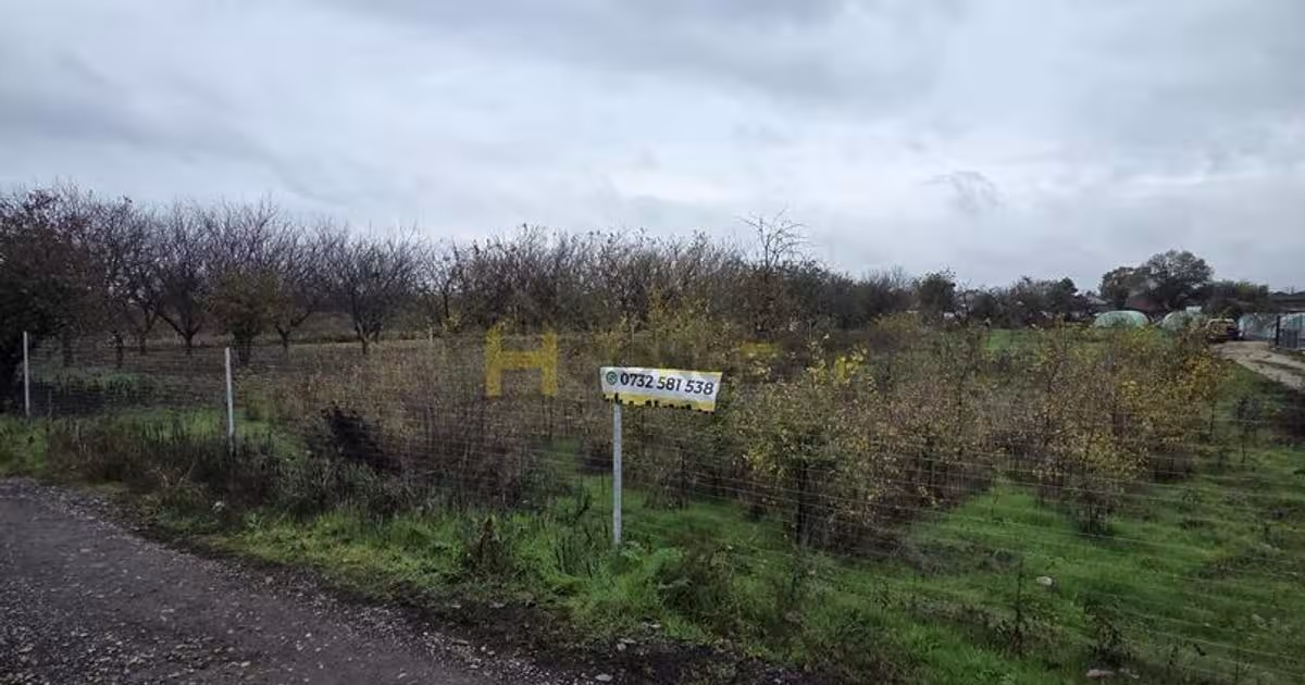 Teren Construcții intravilan de 550 mp, în zona Central, Giurgiu