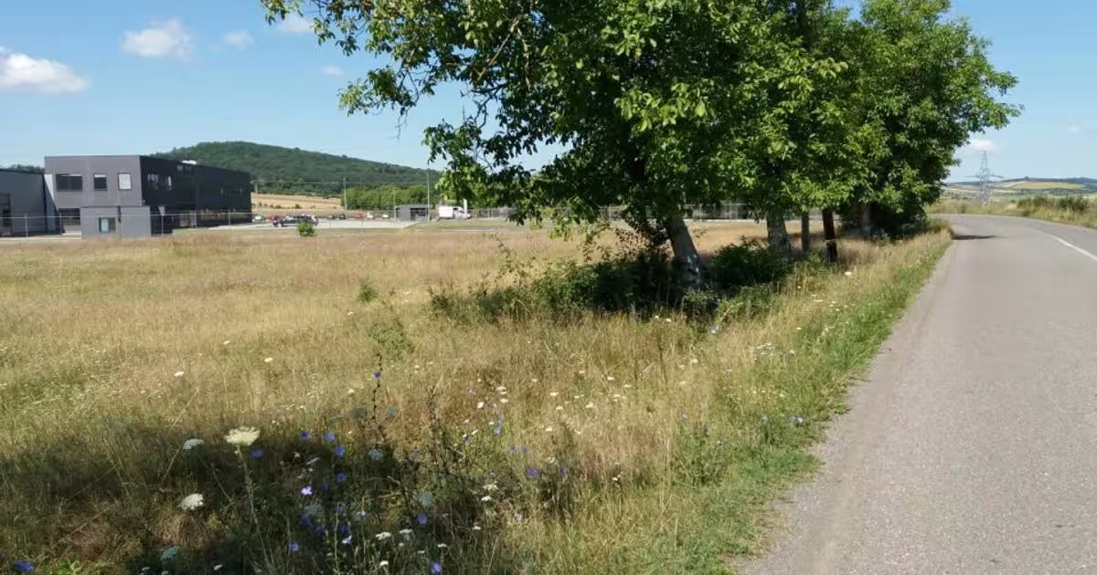 Teren Construcții extravilan de 43000 mp, în Glodeni
