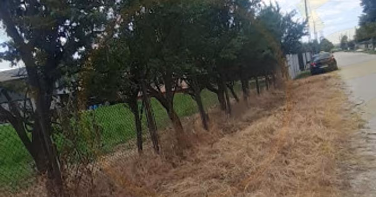 Teren Construcții intravilan de 2500 mp, în Golești (Ștefănești)