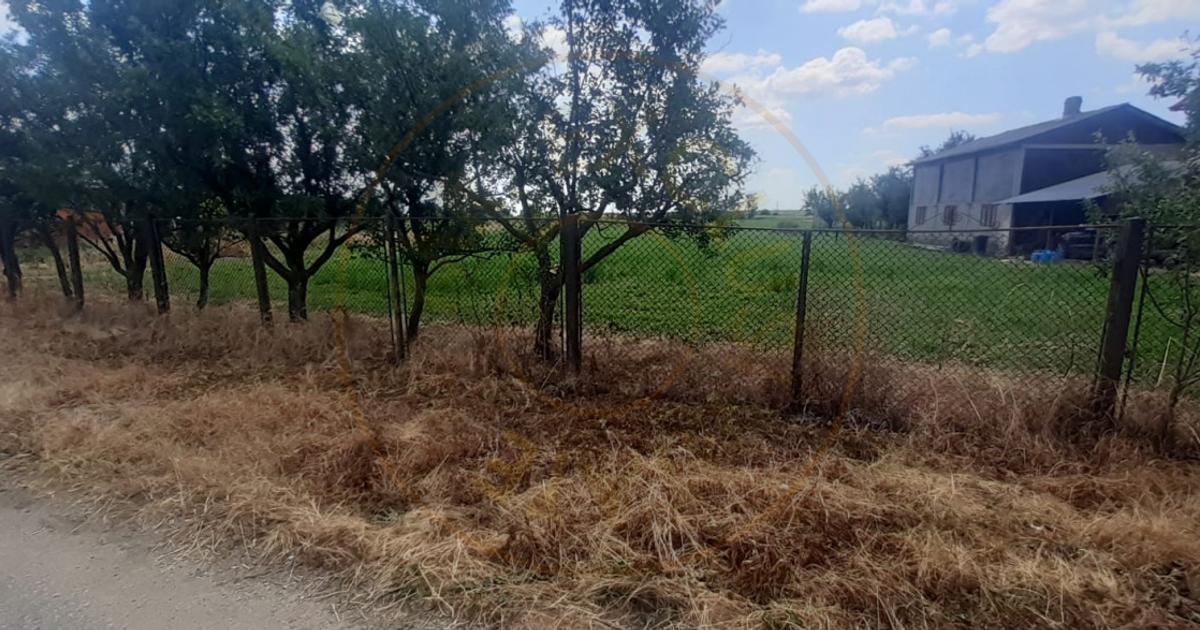 Teren Construcții intravilan de 2500 mp, în Golești (Ștefănești)