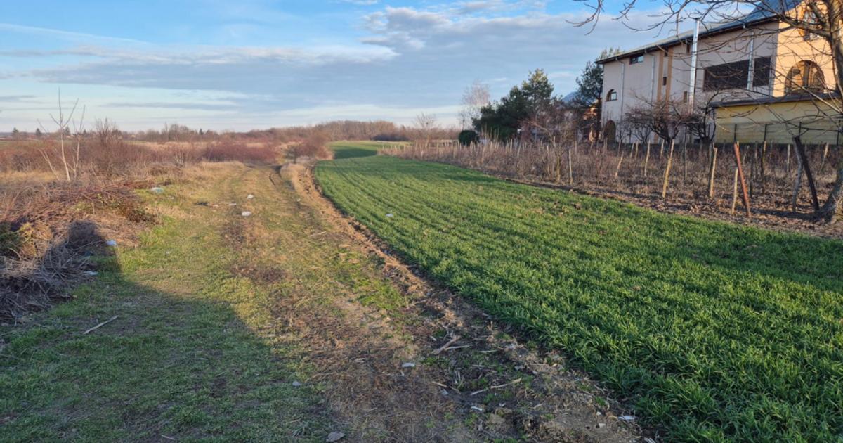 Teren Construcții extravilan de 12500 mp, în Grădinari