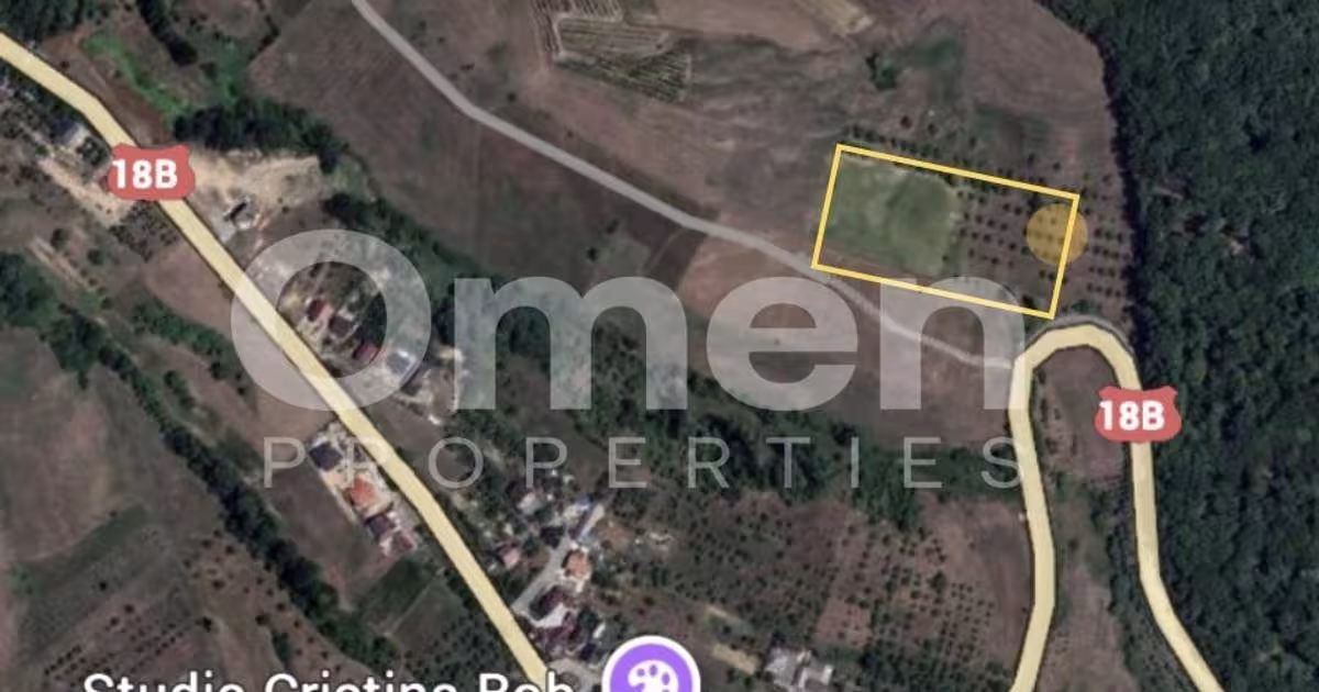 Teren Construcții intravilan de 7000 mp, în Groși