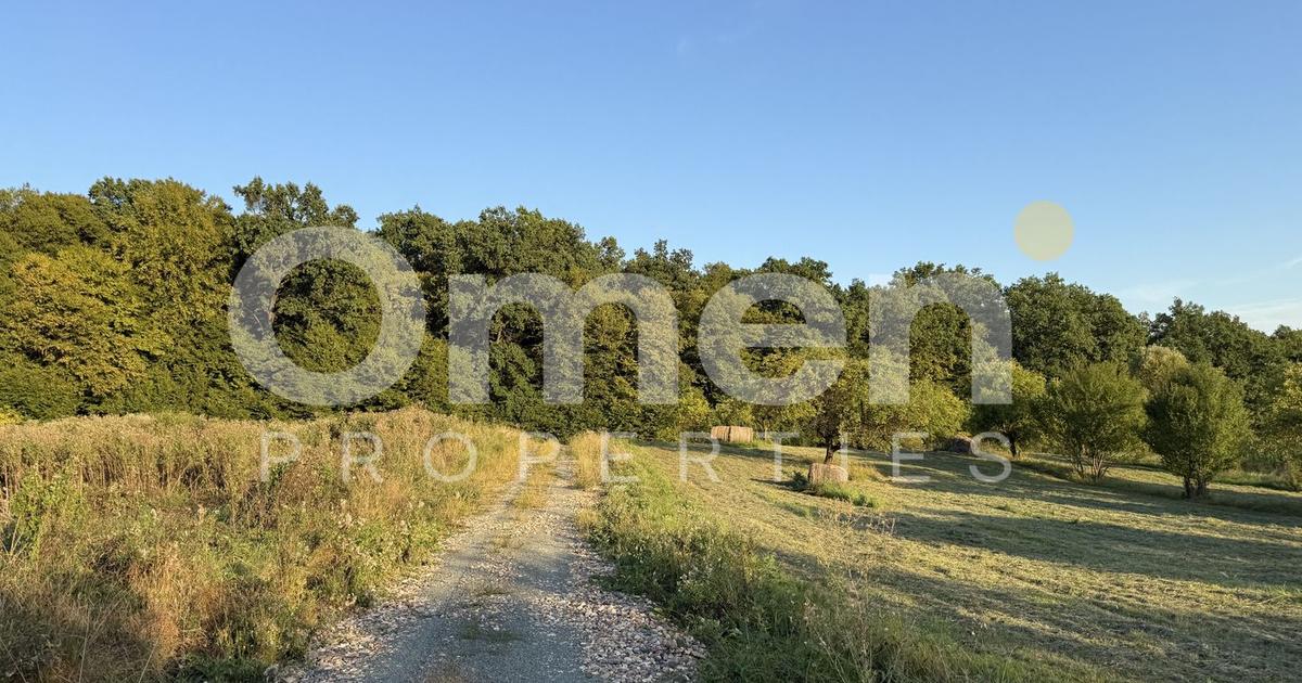 Teren Construcții intravilan de 7000 mp, în Groși