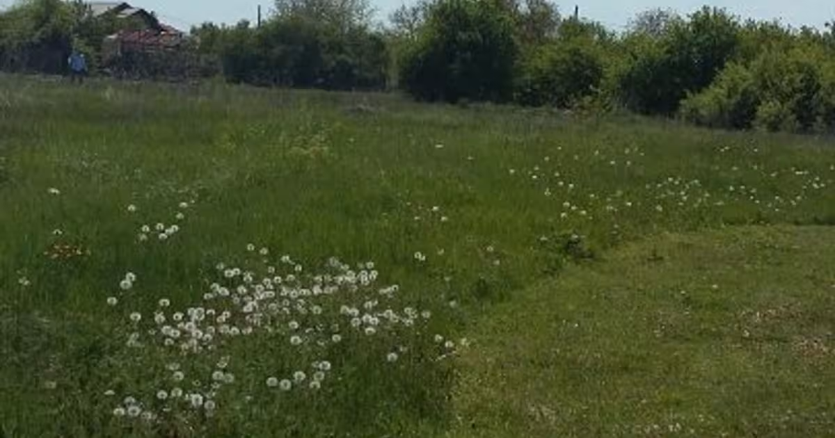 Teren Construcții intravilan de 5800 mp, în Gulia